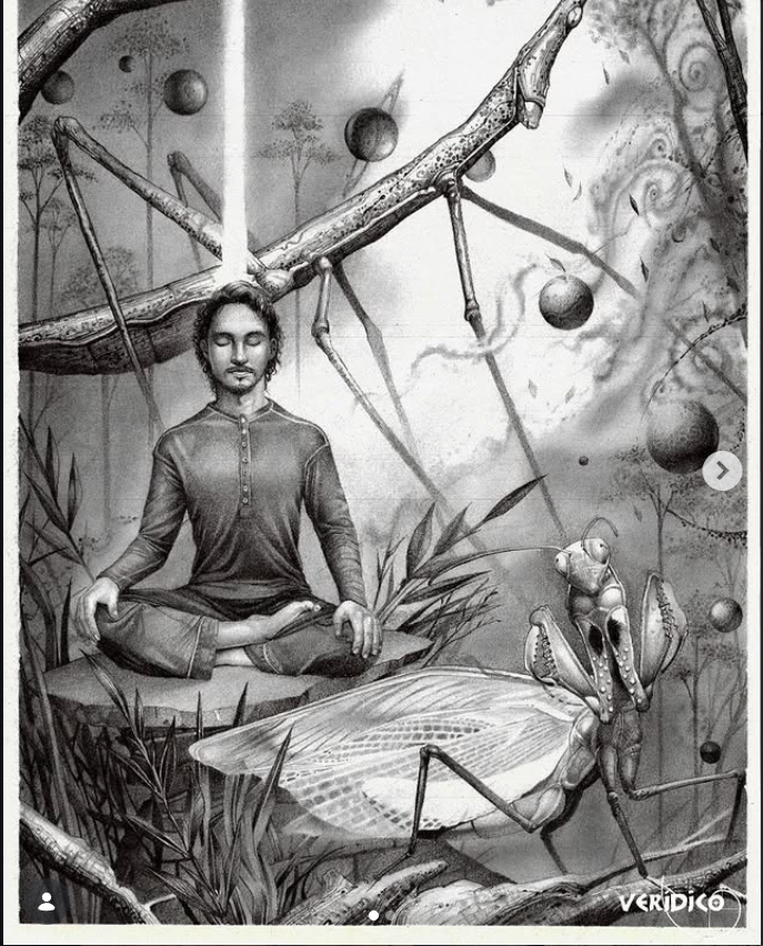 captura de pantalla 2026 02 15 135543